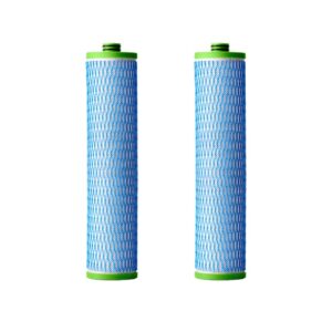 AO Smith 2 Stage Drinking Water Filter Replacement